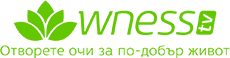 WnessTV Logo